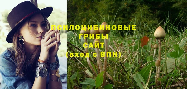 хмурый Волоколамск