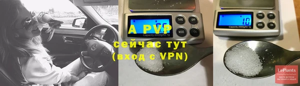 прущие крисы Волосово
