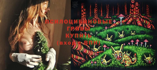 прущая мука Вяземский